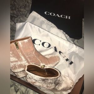 Coach blush pink booties
